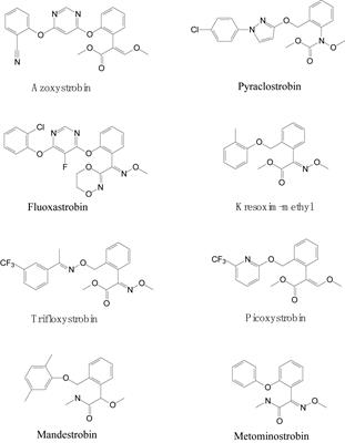 An Overview of Strobilurin Fungicide Degradation:Current Status and Future Perspective